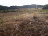 South Manchester, Manchester, Jamaica - Commercial/farm land for Lease/rental